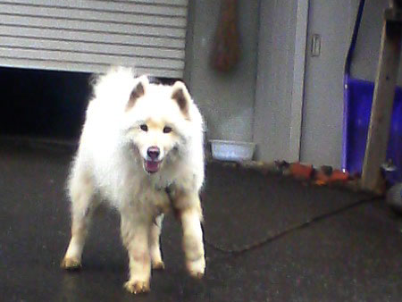 f:id:elmikamino:20091027144441j:image f:id:elmikamino:20091027144441j:image