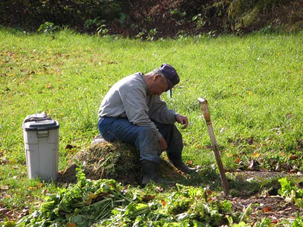 f:id:elmikamino:20091028131638j:image:w450