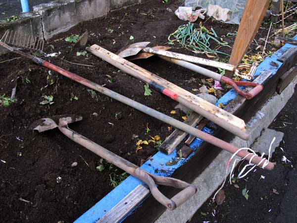 f:id:elmikamino:20091028131641j:image:w450