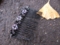 20091116104904