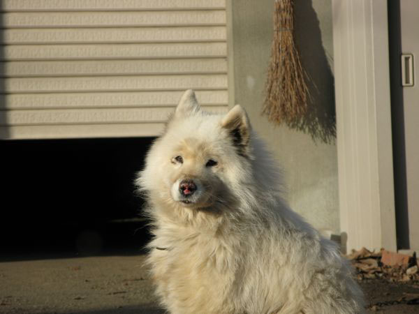 f:id:elmikamino:20091122082924j:image f:id:elmikamino:20091122082924j:image