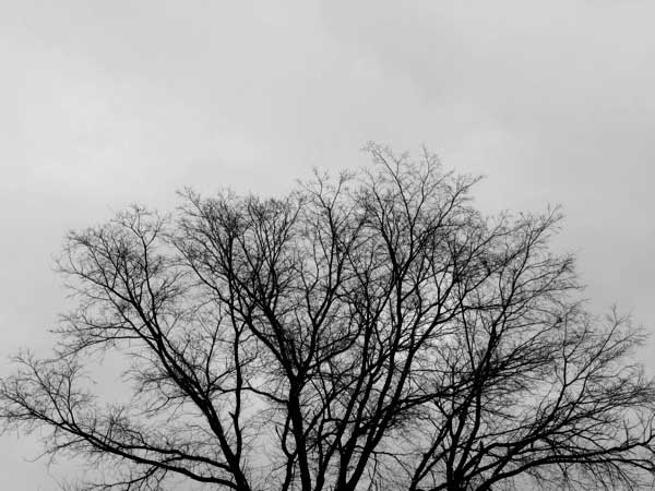 f:id:elmikamino:20091129120246j:image