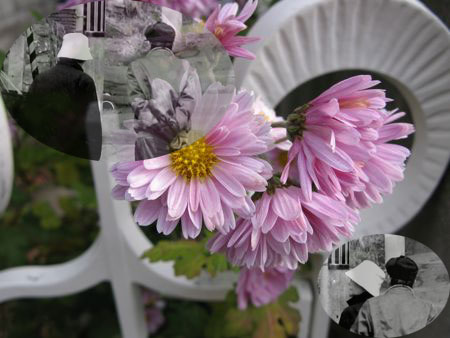f:id:elmikamino:20091202102626j:image