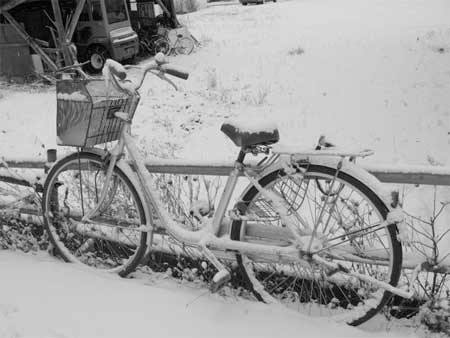 f:id:elmikamino:20091203093913j:image
