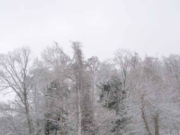 f:id:elmikamino:20091203094103j:image