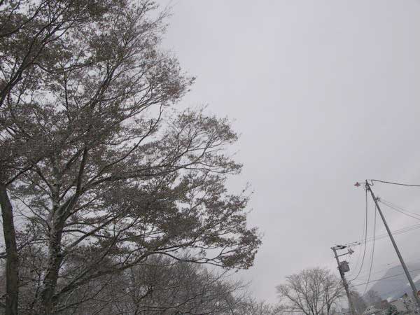 f:id:elmikamino:20091203094539j:image