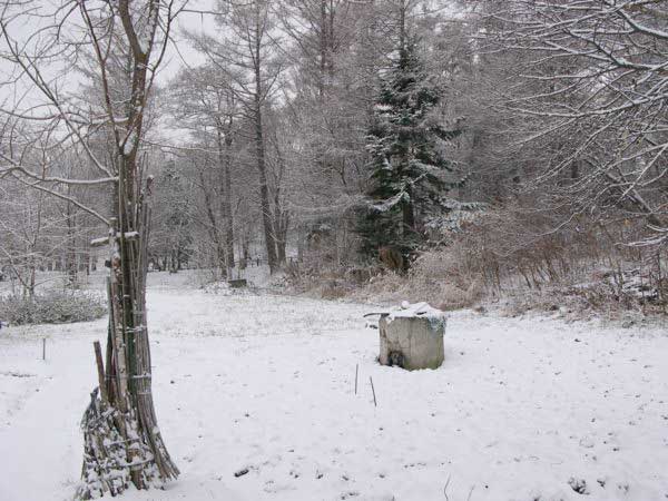 f:id:elmikamino:20091203094943j:image