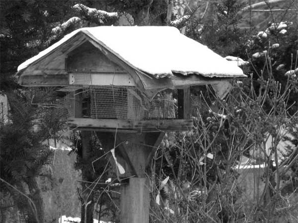 f:id:elmikamino:20091205121742j:image f:id:elmikamino:20091205121742j:image