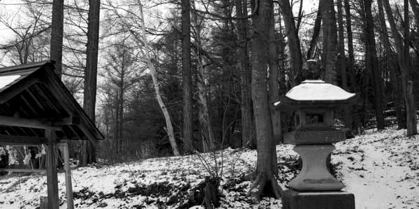 f:id:elmikamino:20091205123422j:image f:id:elmikamino:20091205123422j:image