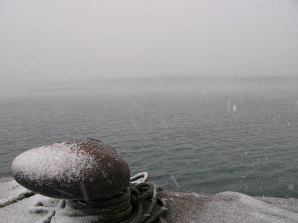 f:id:elmikamino:20091220225952j:image