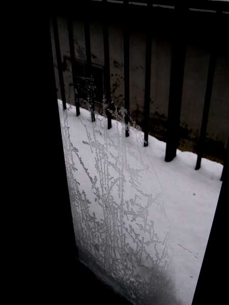 f:id:elmikamino:20091226115537j:image