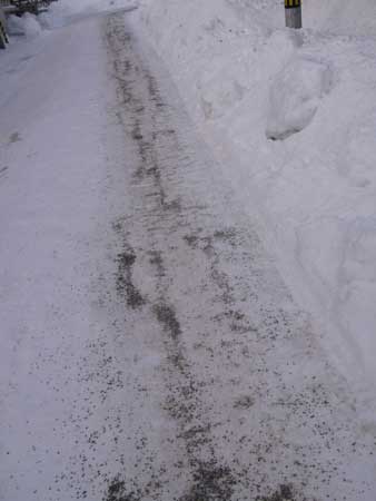 f:id:elmikamino:20100108121310j:image