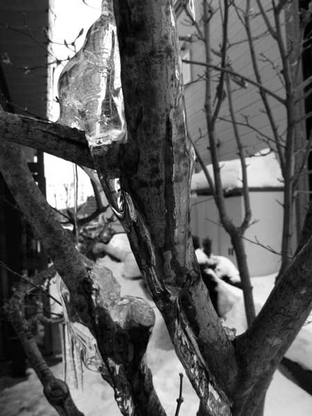 f:id:elmikamino:20100108121314j:image