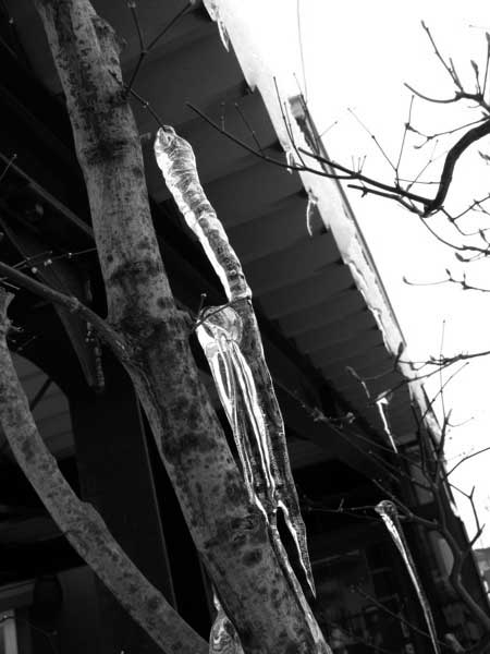 f:id:elmikamino:20100108121315j:image