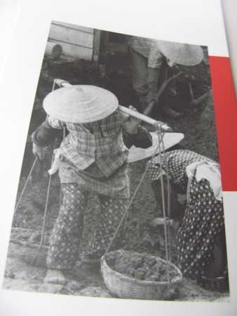 f:id:elmikamino:20100108212616j:image