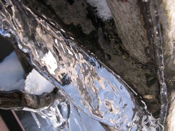 f:id:elmikamino:20100109113619j:image