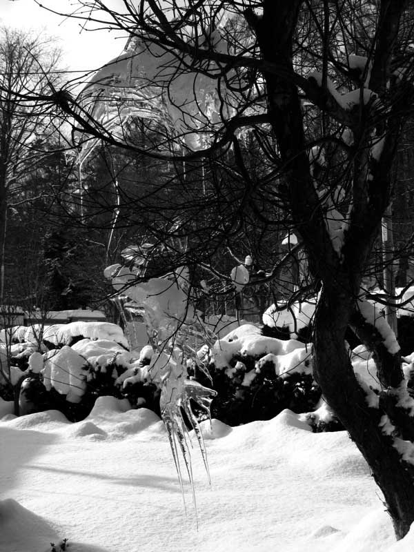 f:id:elmikamino:20100109113621j:image