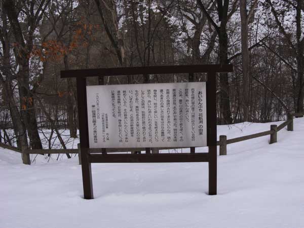 f:id:elmikamino:20100110135418j:image f:id:elmikamino:20100110135418j:image