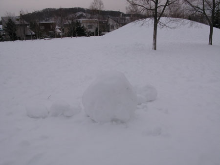 f:id:elmikamino:20100113112719j:image