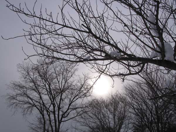 f:id:elmikamino:20100113112721j:image