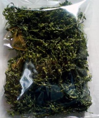 f:id:elmikamino:20100113124207j:image
