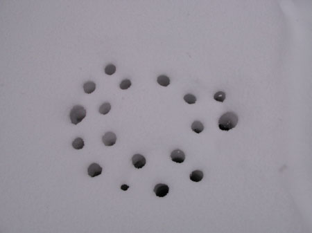 f:id:elmikamino:20100116112005j:image