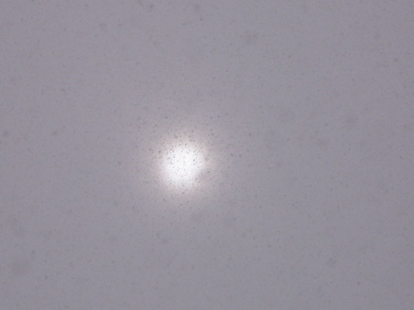 f:id:elmikamino:20100116112006j:image