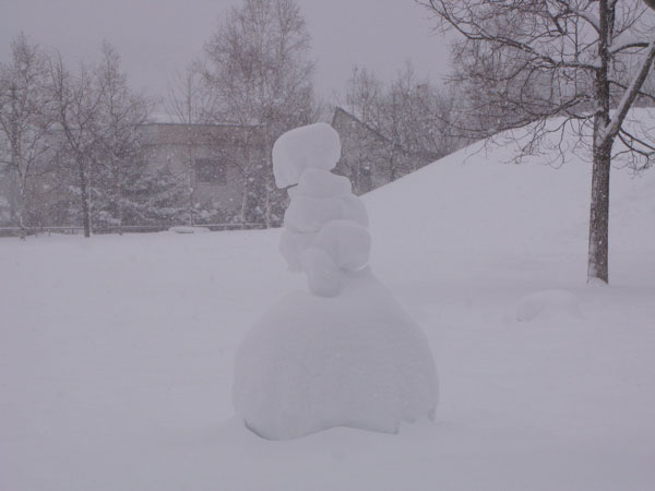 f:id:elmikamino:20100116112007j:image