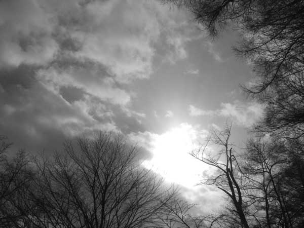 f:id:elmikamino:20100124111011j:image