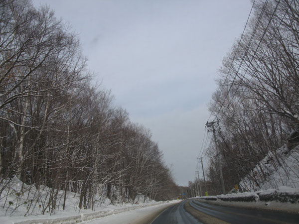f:id:elmikamino:20100127195730j:image