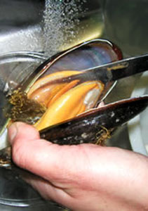 f:id:elmikamino:20100128212213j:image