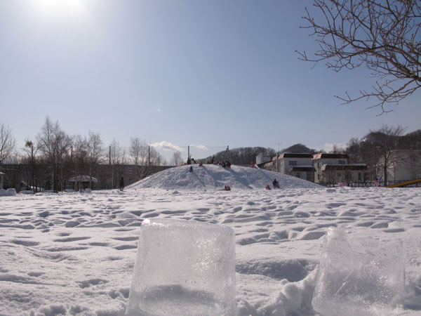 f:id:elmikamino:20100130120537j:image