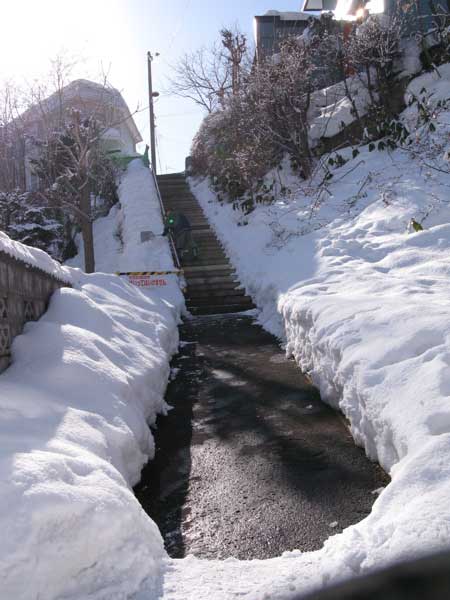 f:id:elmikamino:20100130120541j:image