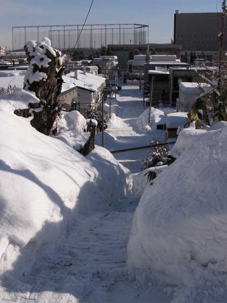 f:id:elmikamino:20100130125257j:image