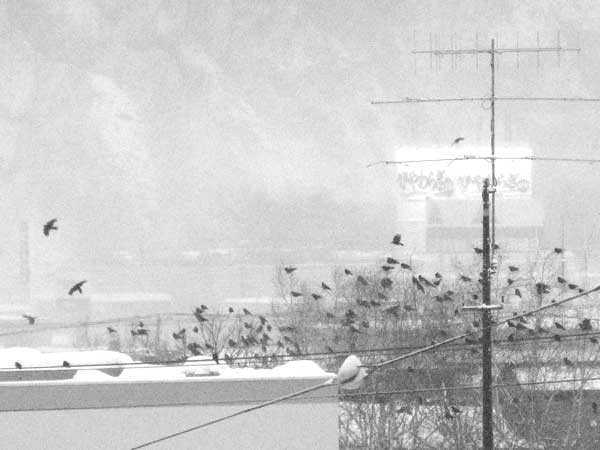 f:id:elmikamino:20100206164107j:image