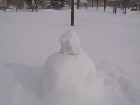 f:id:elmikamino:20100207105037j:image