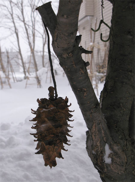 f:id:elmikamino:20100207105038j:image