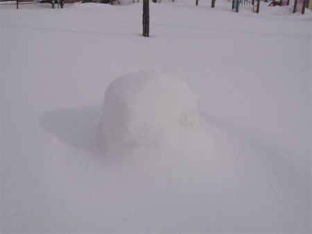 f:id:elmikamino:20100207105040j:image