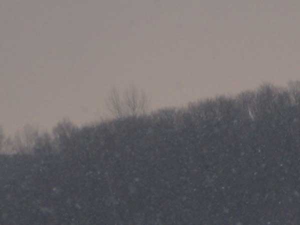 f:id:elmikamino:20100209122243j:image