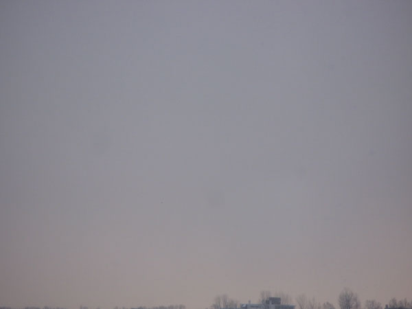 f:id:elmikamino:20100209122244j:image