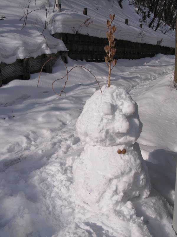 f:id:elmikamino:20100209122245j:image