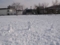 20100210103730