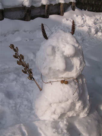 f:id:elmikamino:20100210103734j:image