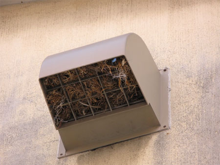 f:id:elmikamino:20100211120107j:image