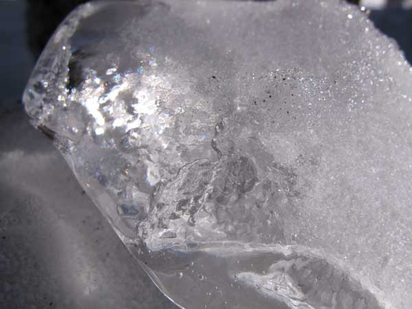 f:id:elmikamino:20100213105641j:image