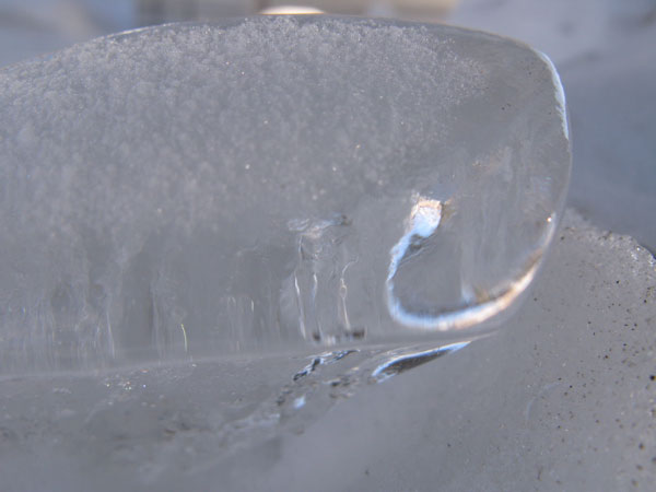 f:id:elmikamino:20100213105642j:image