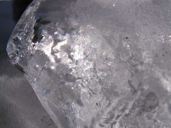 f:id:elmikamino:20100213105643j:image