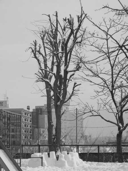 f:id:elmikamino:20100216143341j:image