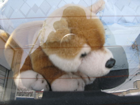 f:id:elmikamino:20100216143348j:image