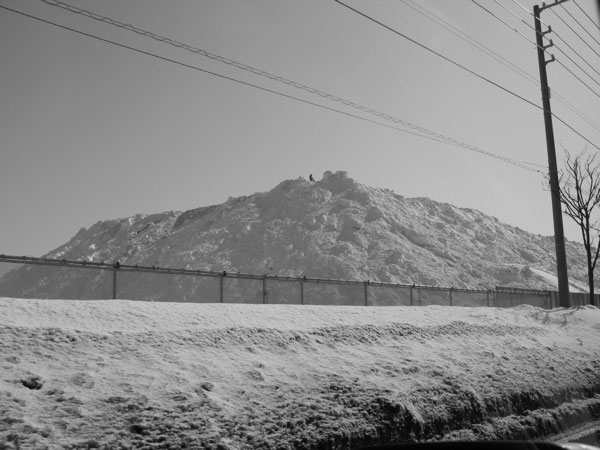 f:id:elmikamino:20100221193332j:image f:id:elmikamino:20100221193332j:image